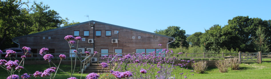 Cave Veterinary Specialists